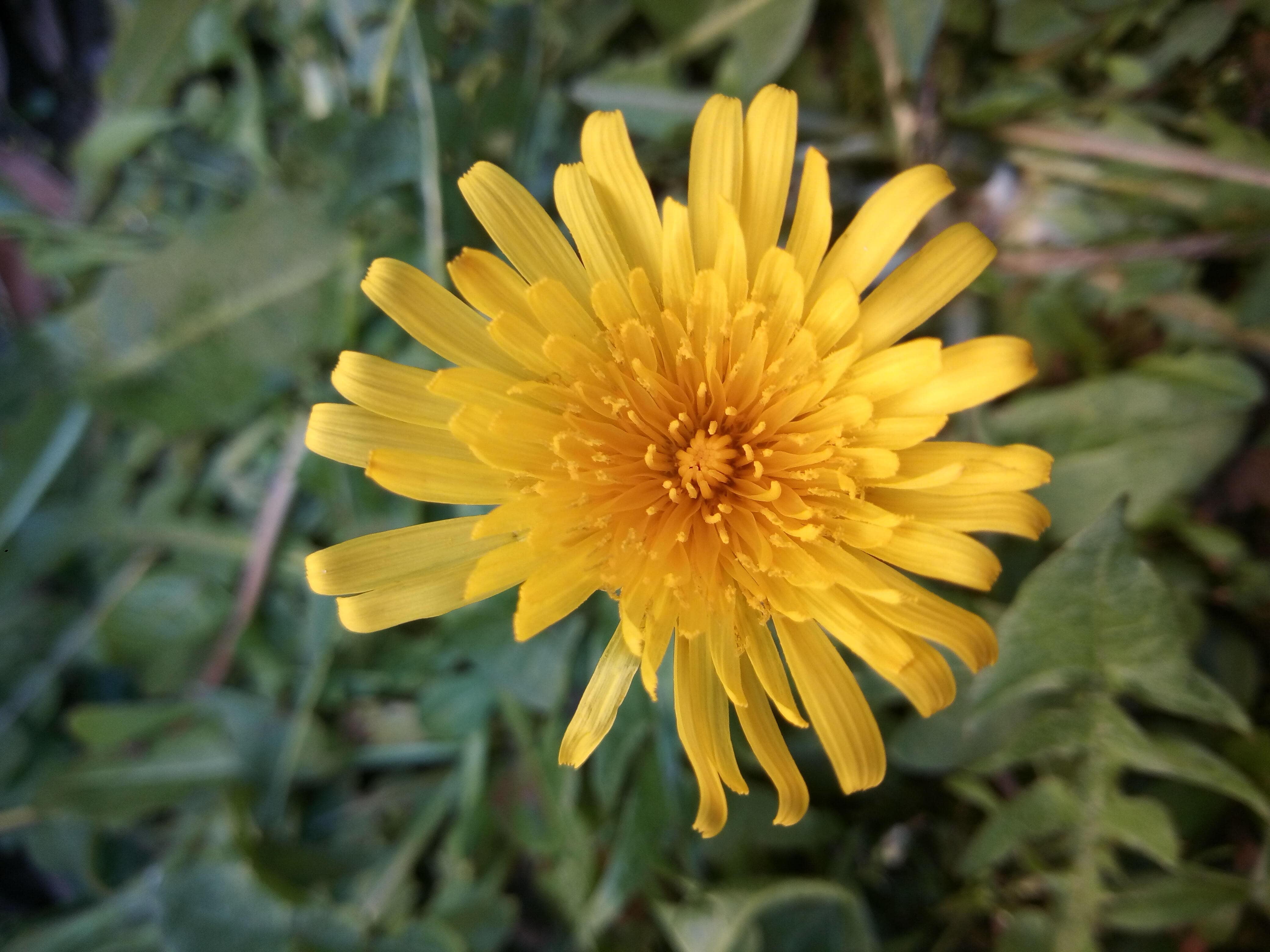 Annexe IMG_20200326_172404 (1).jpg