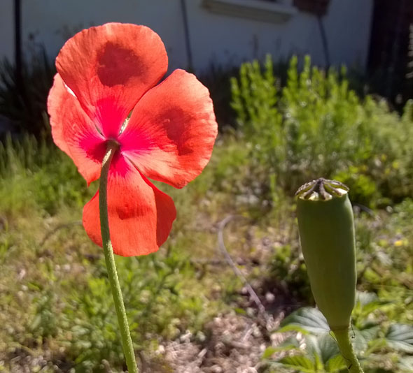 Annexe WP_20190516_004.jpg