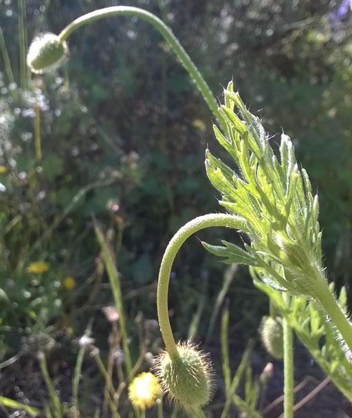 Annexe WP_20190516_006.jpg