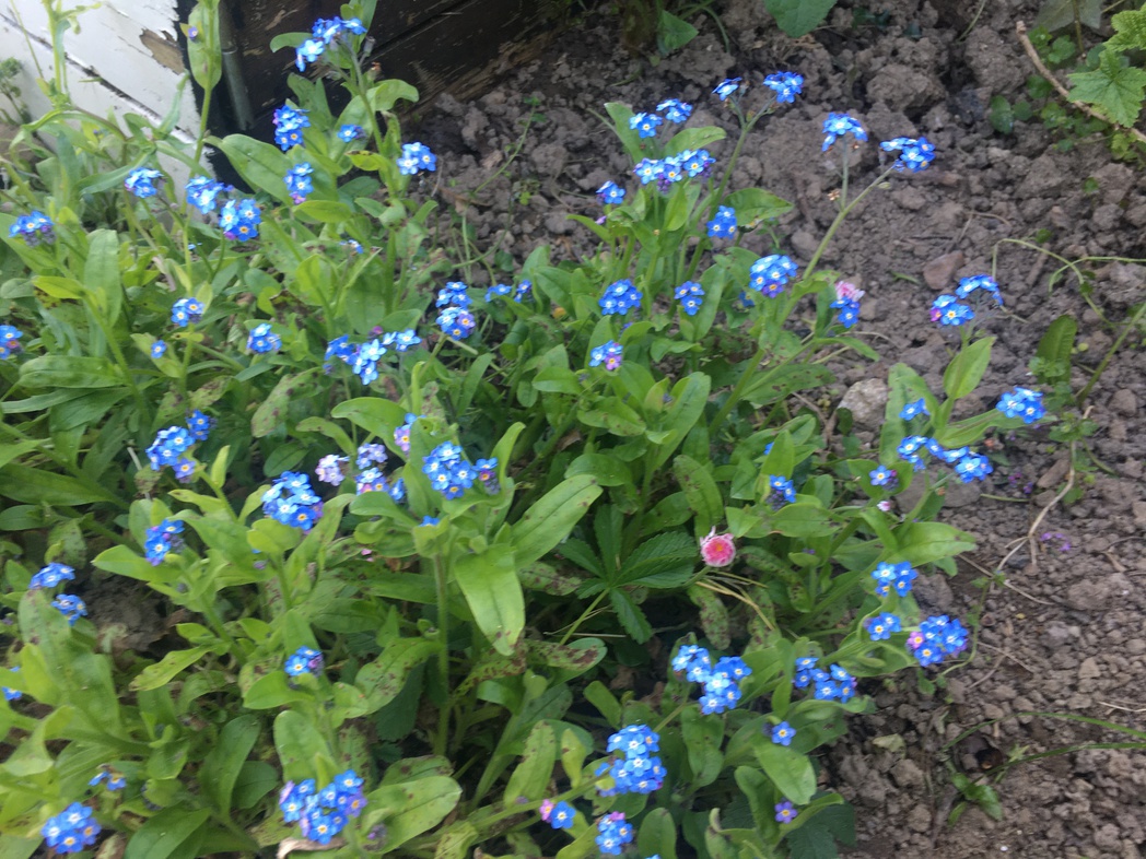 Annexe IMG_8484-ConvertImage.jpg