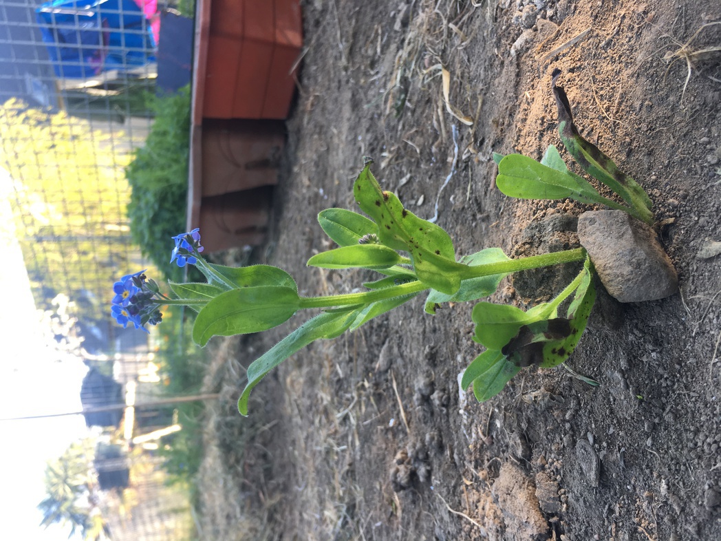 Annexe IMG_8491-ConvertImage.jpg