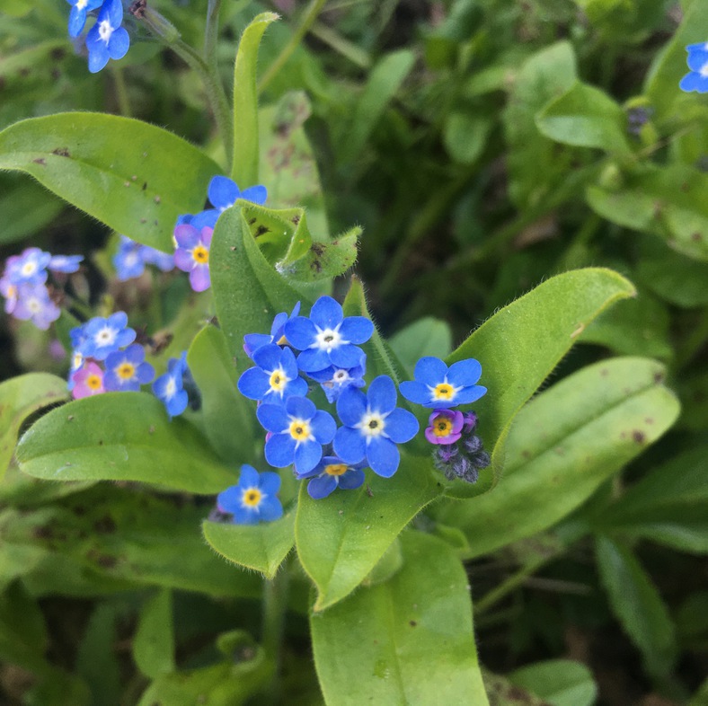 Annexe IMG_8493-ConvertImage.jpg