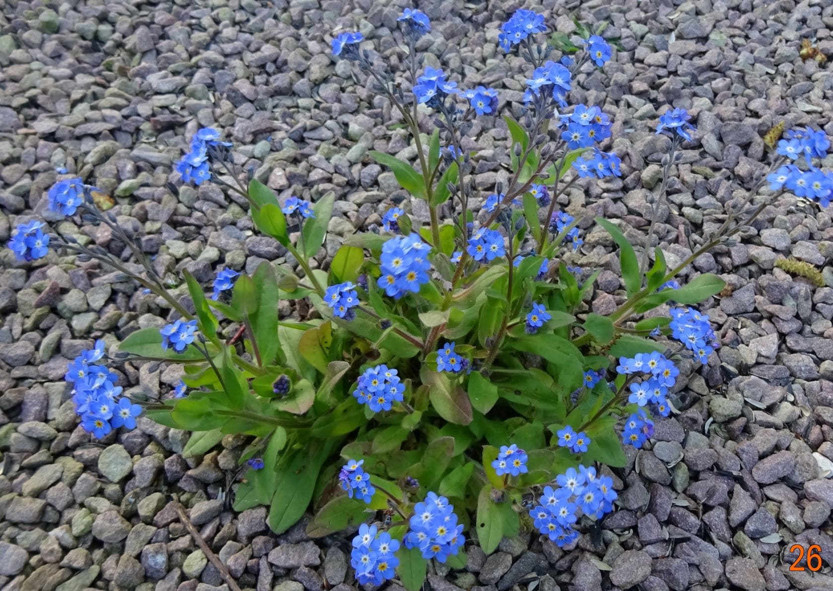 Annexe DSC04017-c-min.jpg