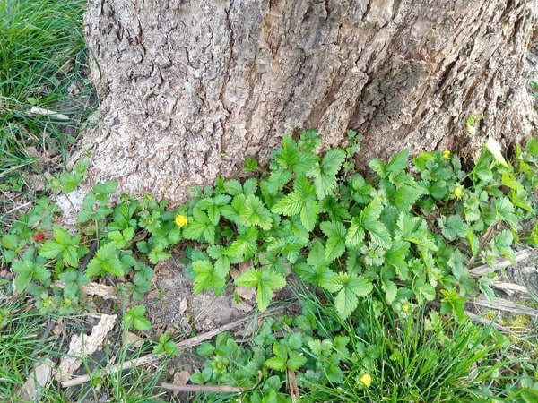 Annexe 91021428_1103658373305214_7976392157214801920_n.jpg