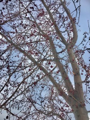 Annexe IMG_3508_1.jpg