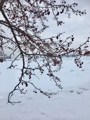 Annexe IMG_3511_1.jpg