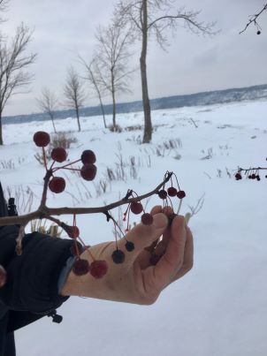 Annexe IMG_3512_1.jpg