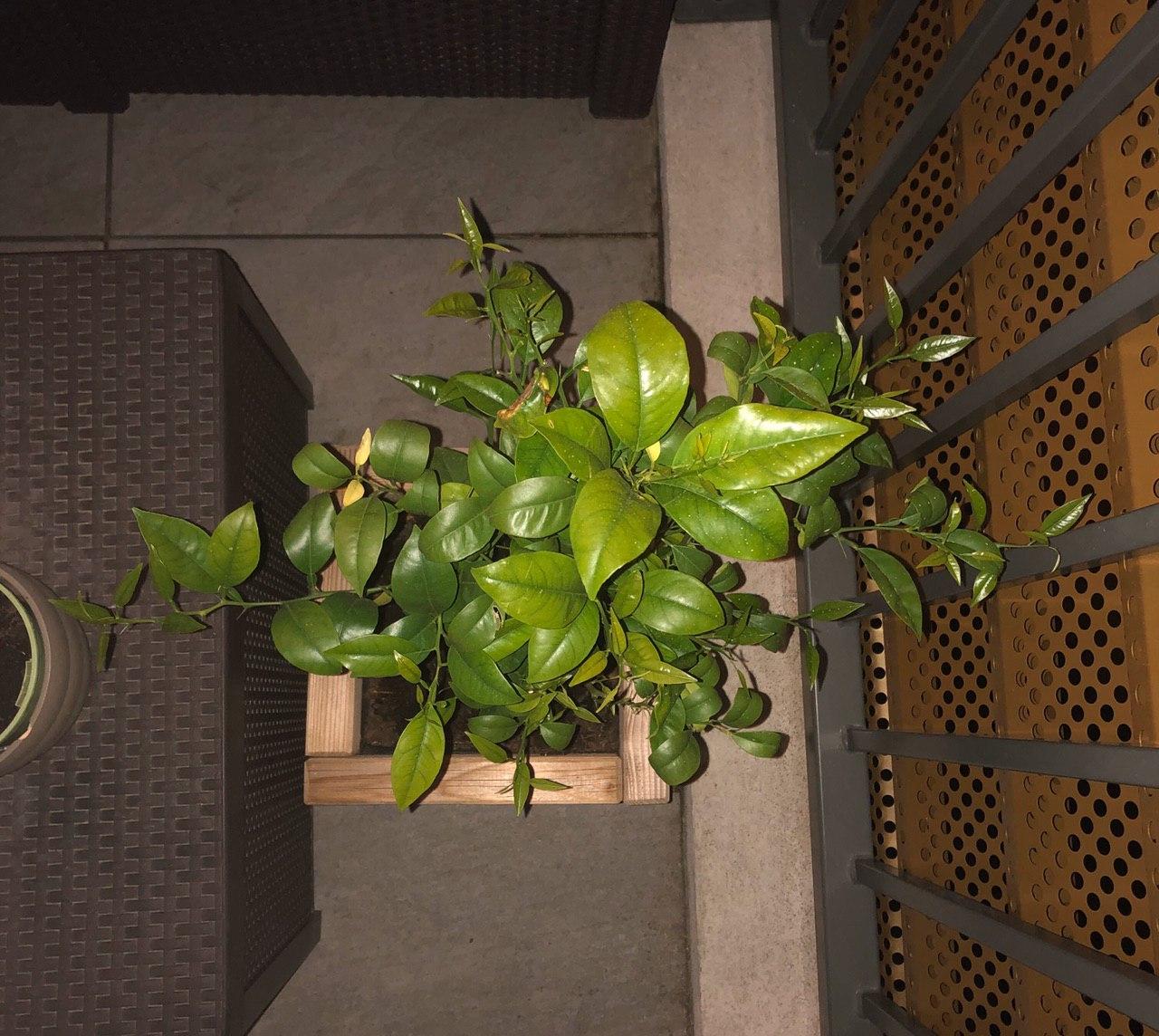 Annexe photo_2020-03-26_23-54-02.jpg