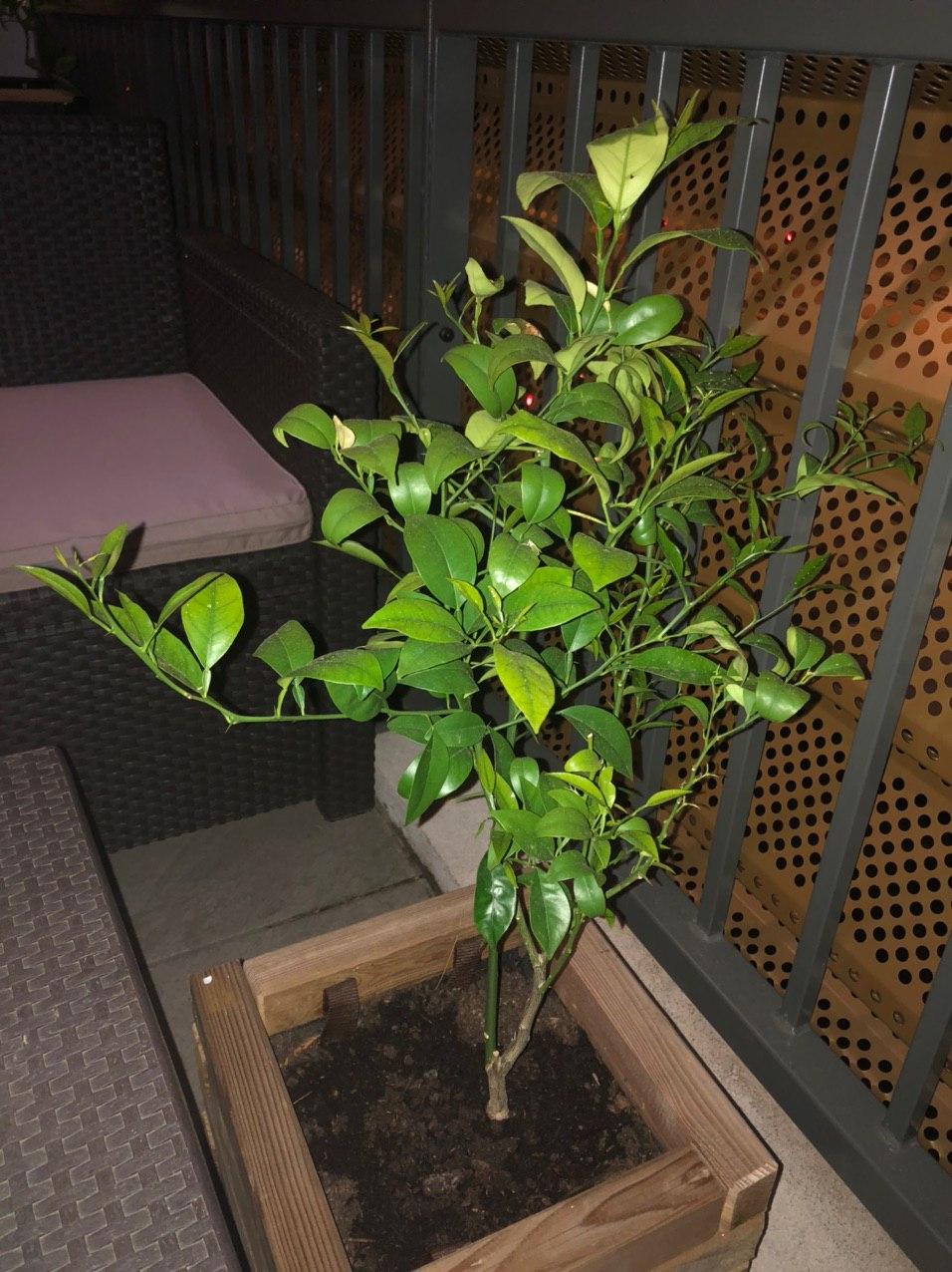 Annexe photo_2020-03-26_23-54-11.jpg