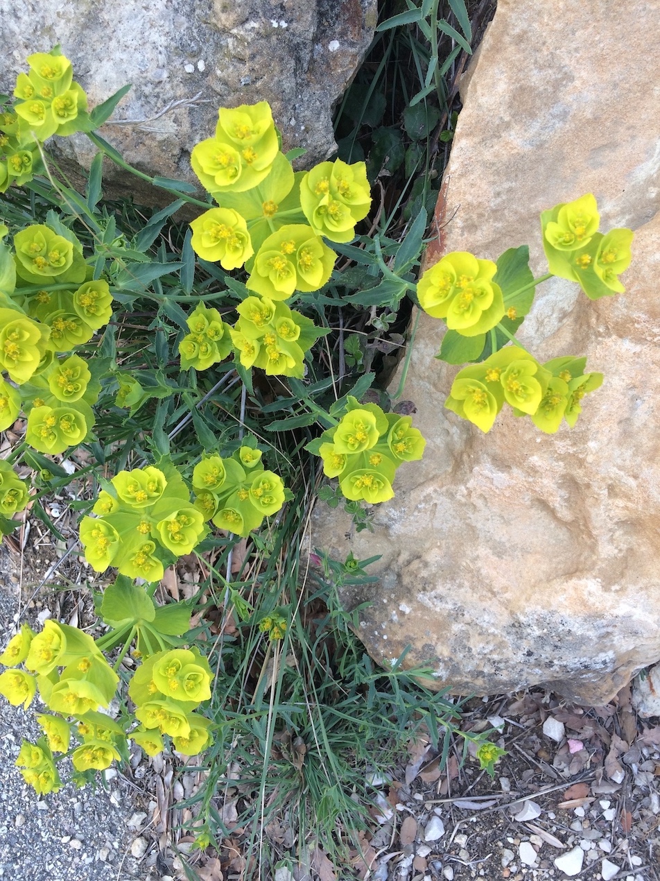 Annexe IMG_2303.jpeg