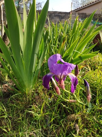 Annexe 91292794_239276834132315_7287724211777306624_n.jpg