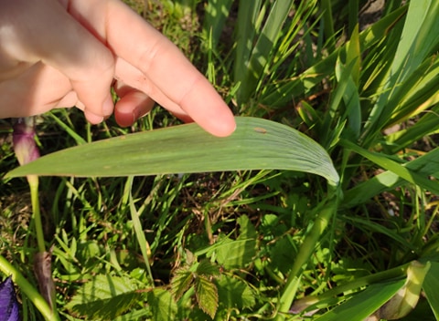 Annexe 91300257_509738789710517_3887128493040861184_n.jpg