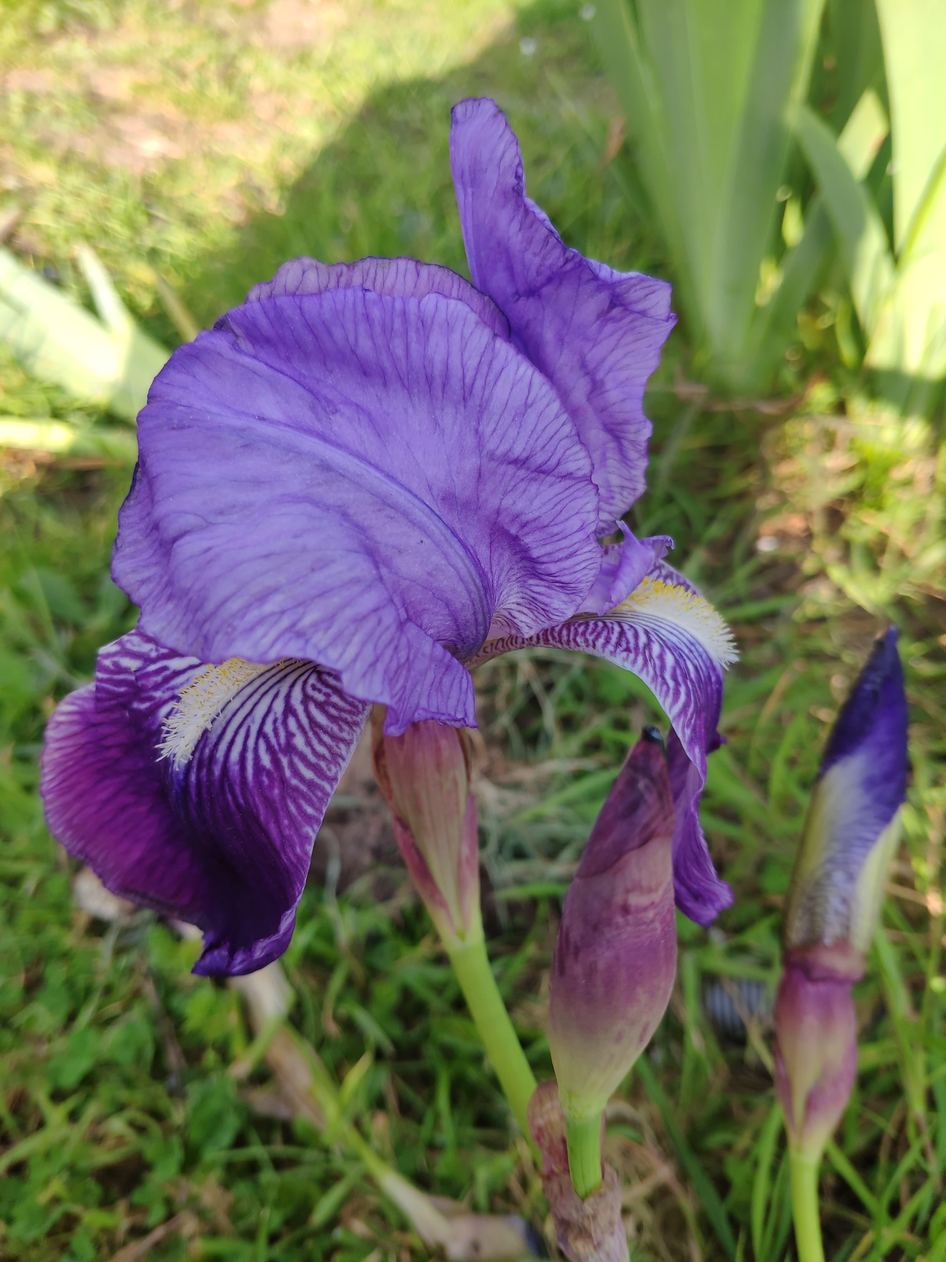 Annexe 91569046_553906978585951_3975895966581522432_n.jpg