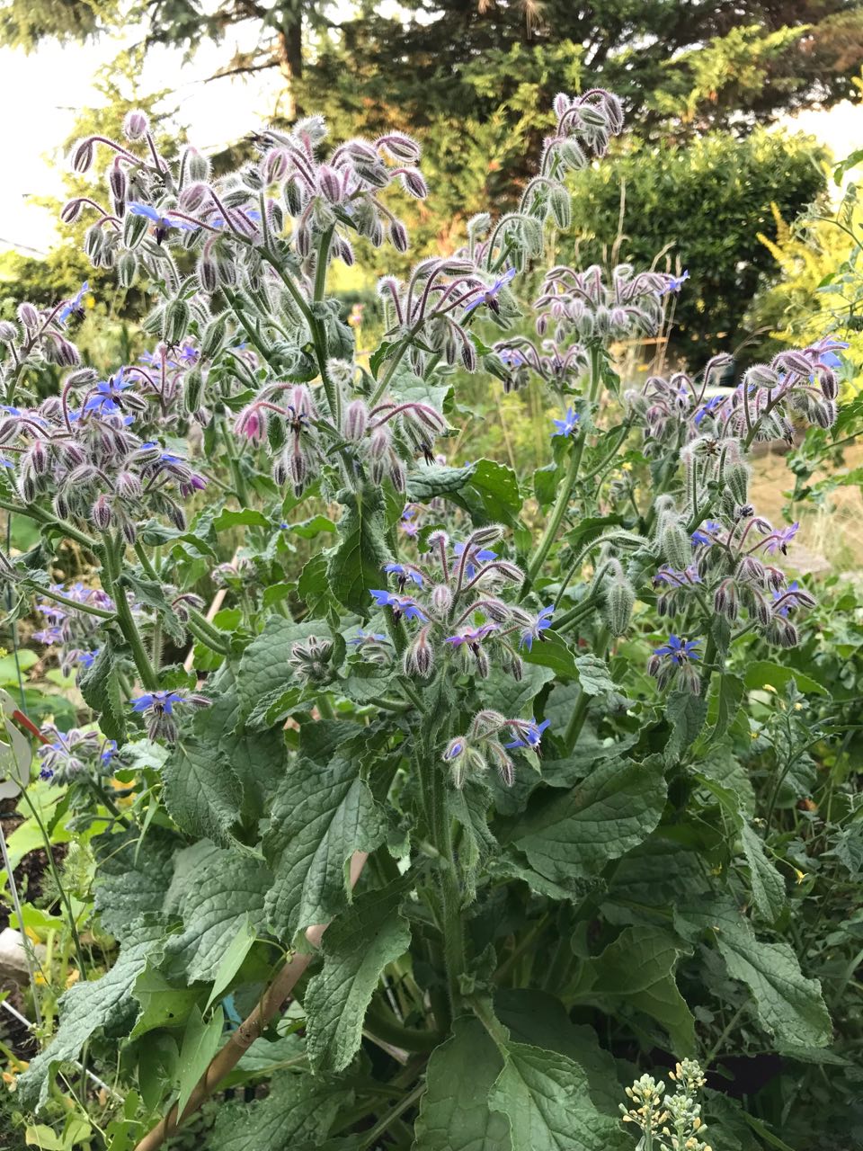 Annexe image (1).jpg