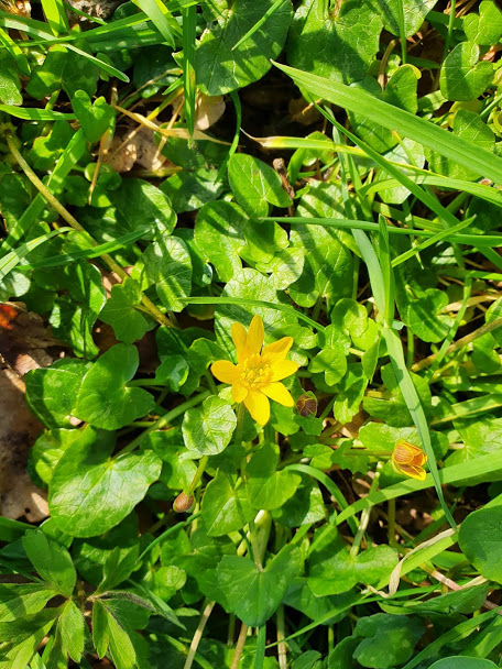 Annexe Vue globale.jpg