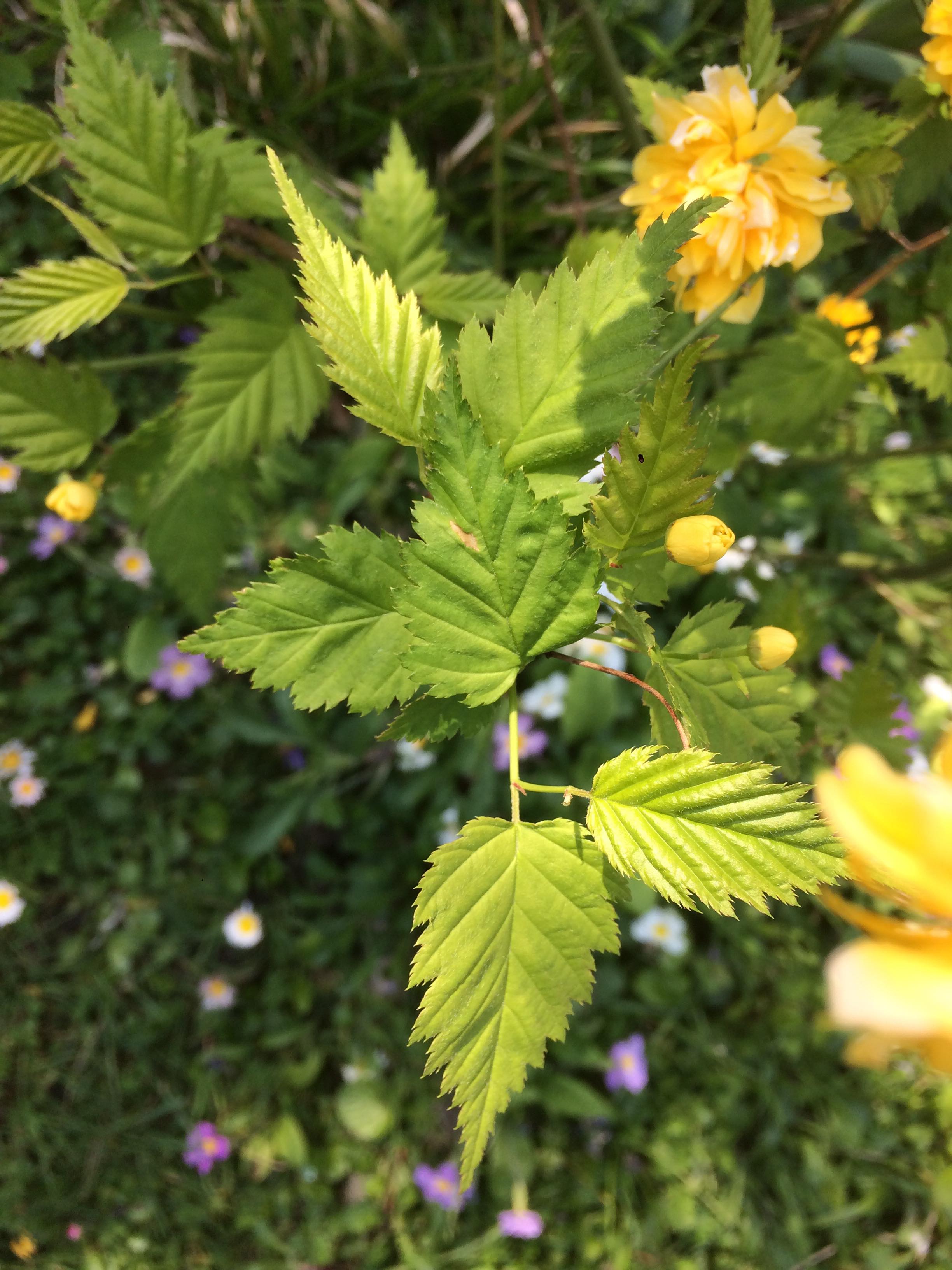 Annexe 91351301_870398933383792_4661987021835730944_n.jpg