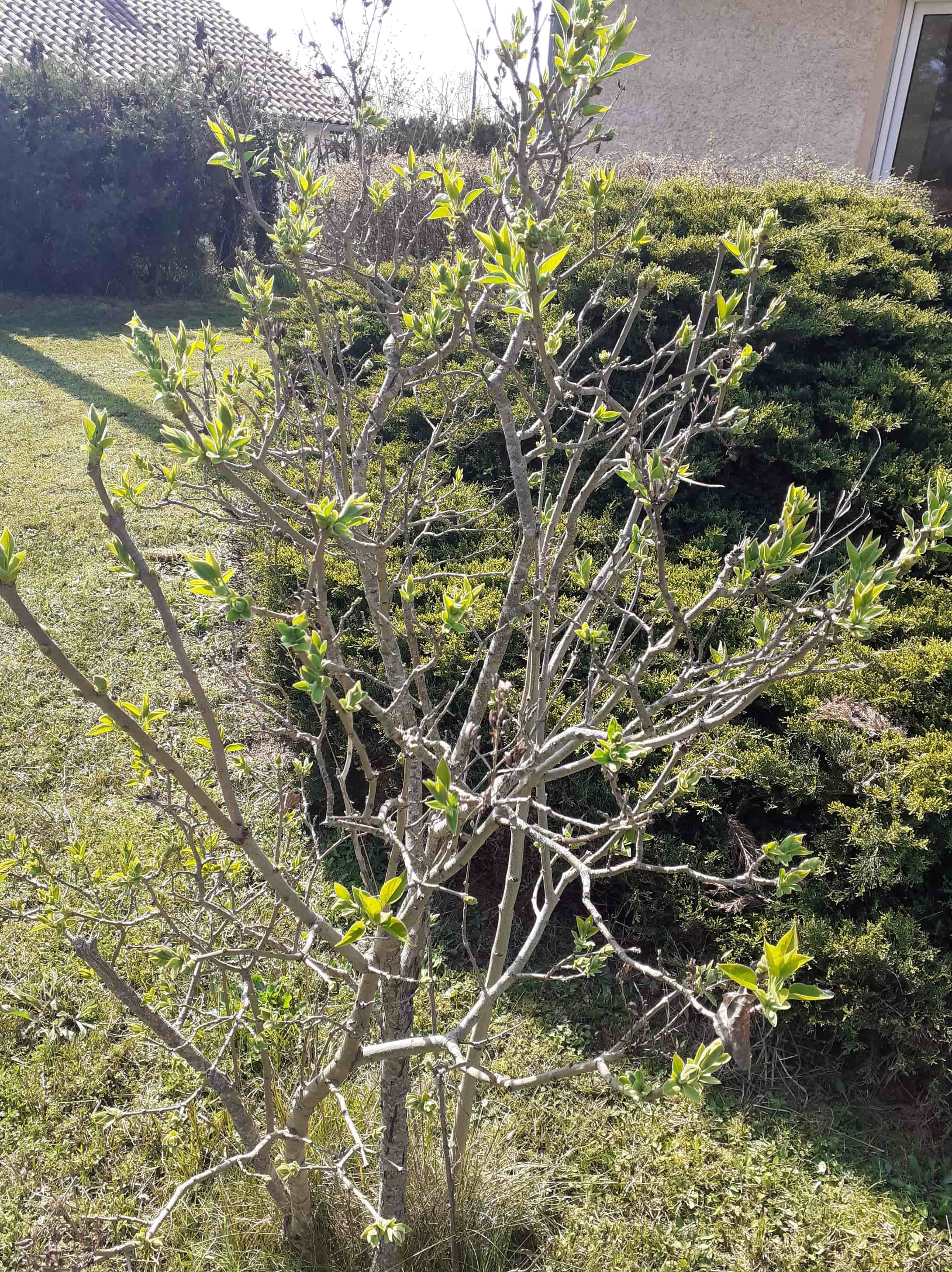 Annexe 90815436_580956632510571_8841517558403170304_n-min-min.jpg