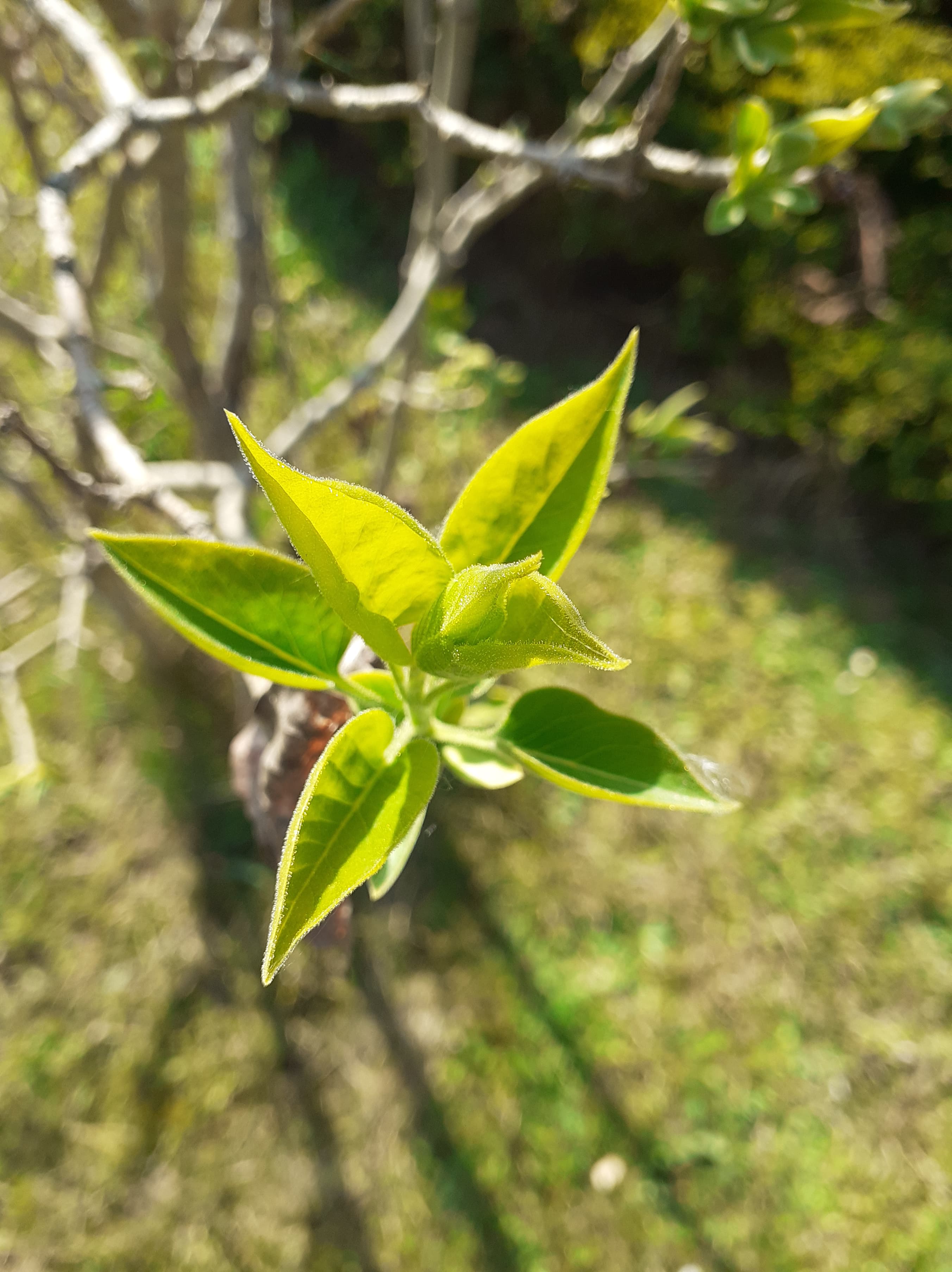 Annexe 90928921_232896221231697_5869437220779196416_n-min.jpg