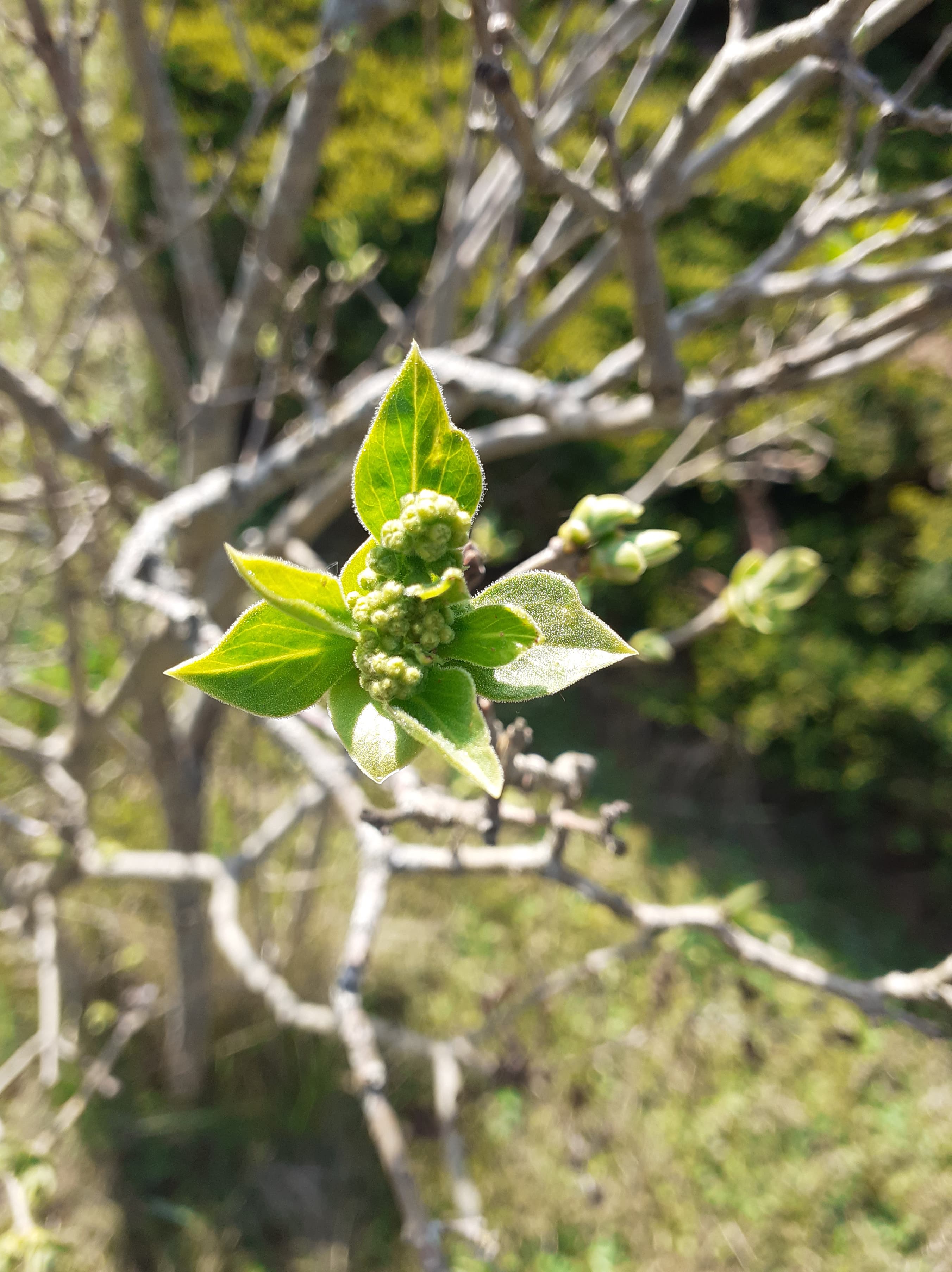 Annexe 91577817_612465172636885_2636905694049075200_n-min.jpg