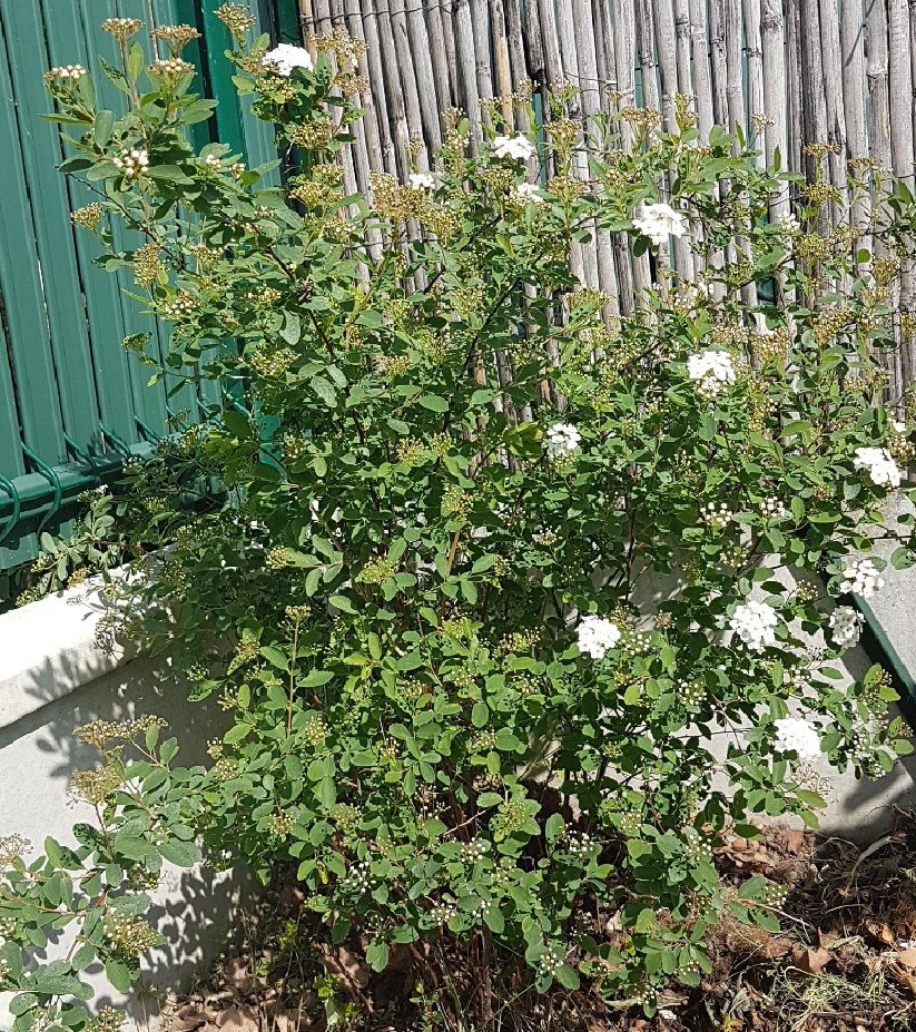 Annexe vue densemble.jpg