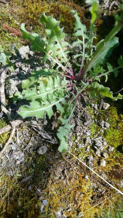 Annexe 1585303485844.JPEG