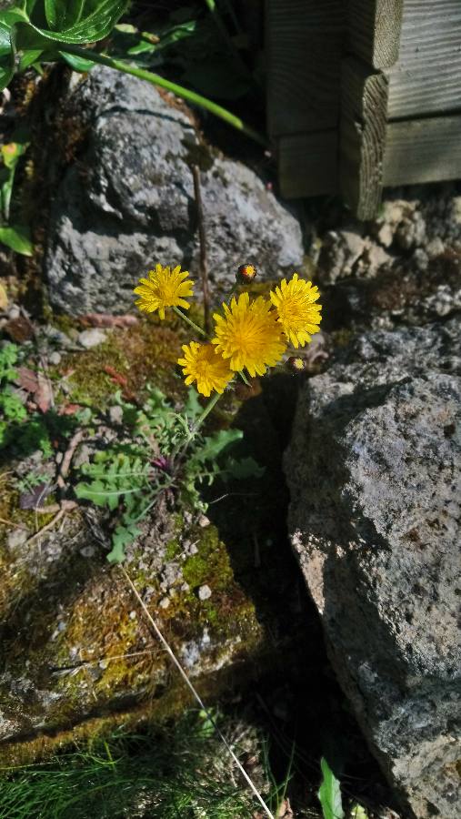 Annexe 1585303518537.JPEG