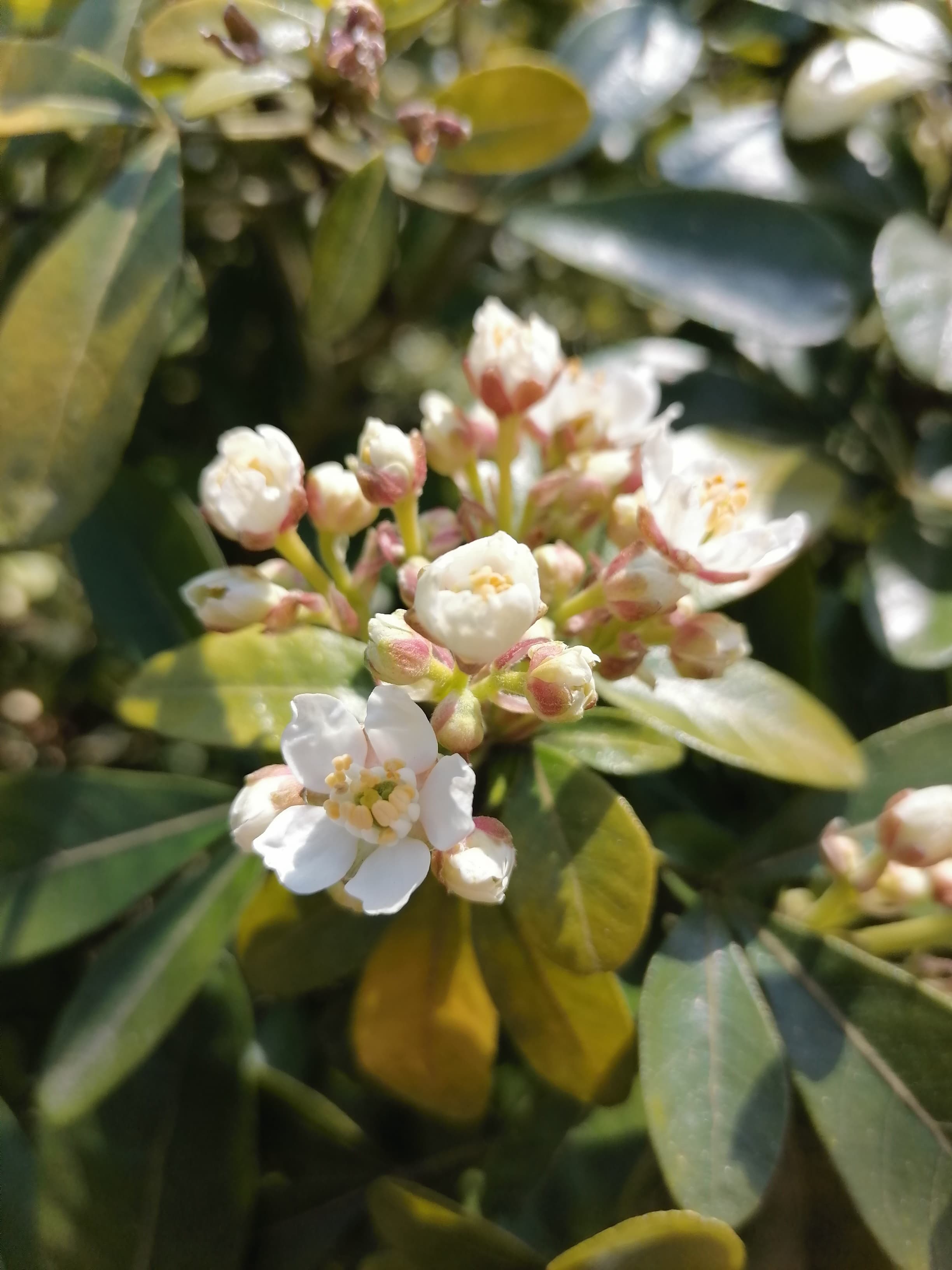 Annexe 90658253_653670862146981_2634786278012354560_n.jpg