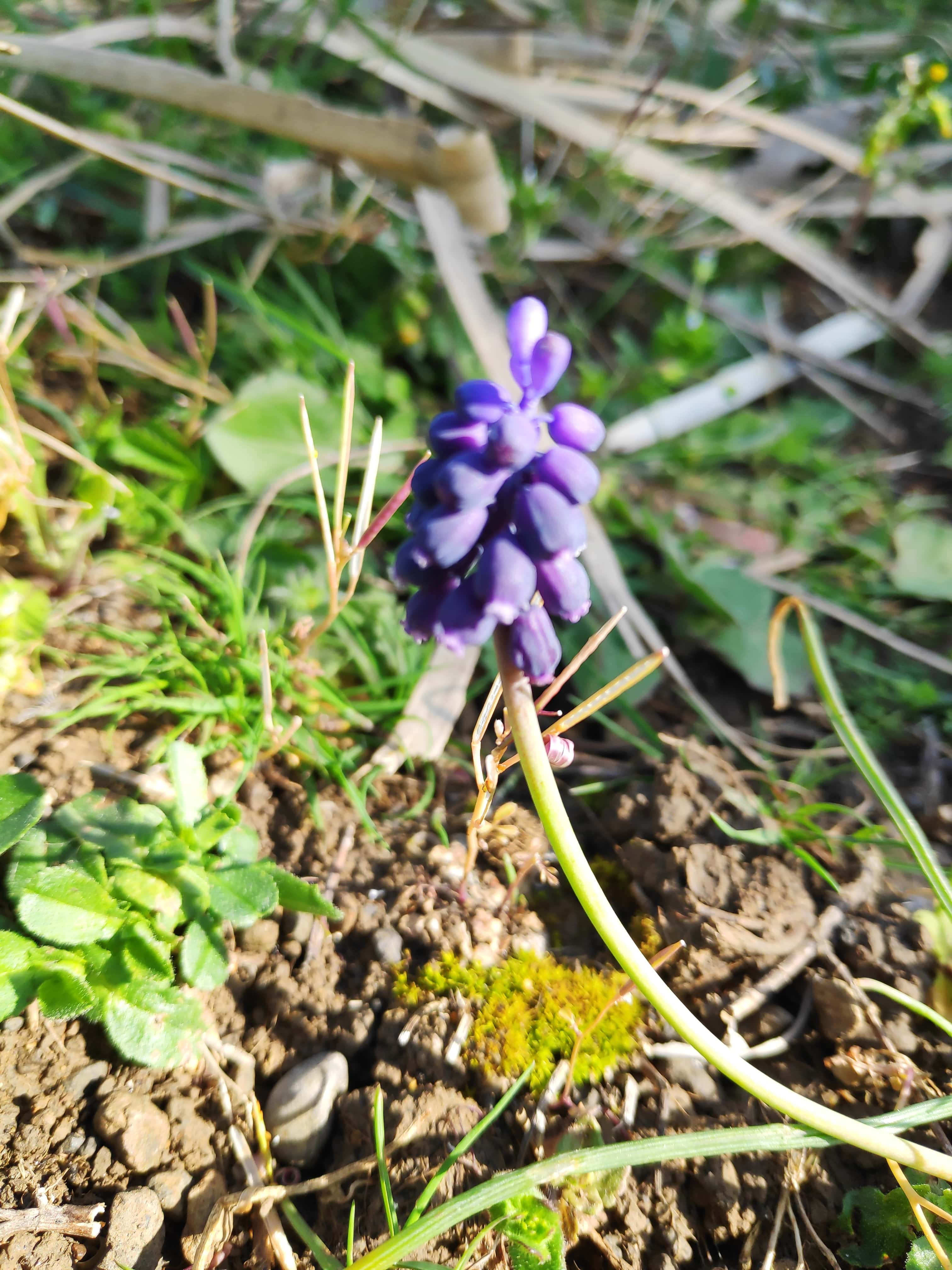 Annexe IMG_20200327_102822-min.jpg