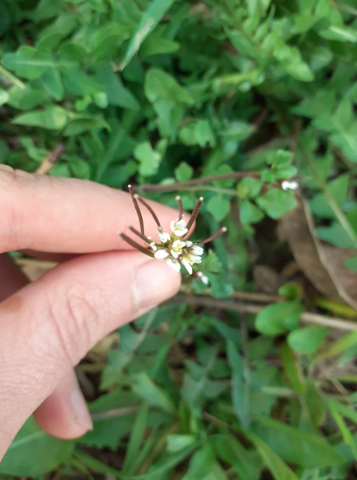 Annexe 90755987_1415762508603002_3609903652757569536_n.jpg