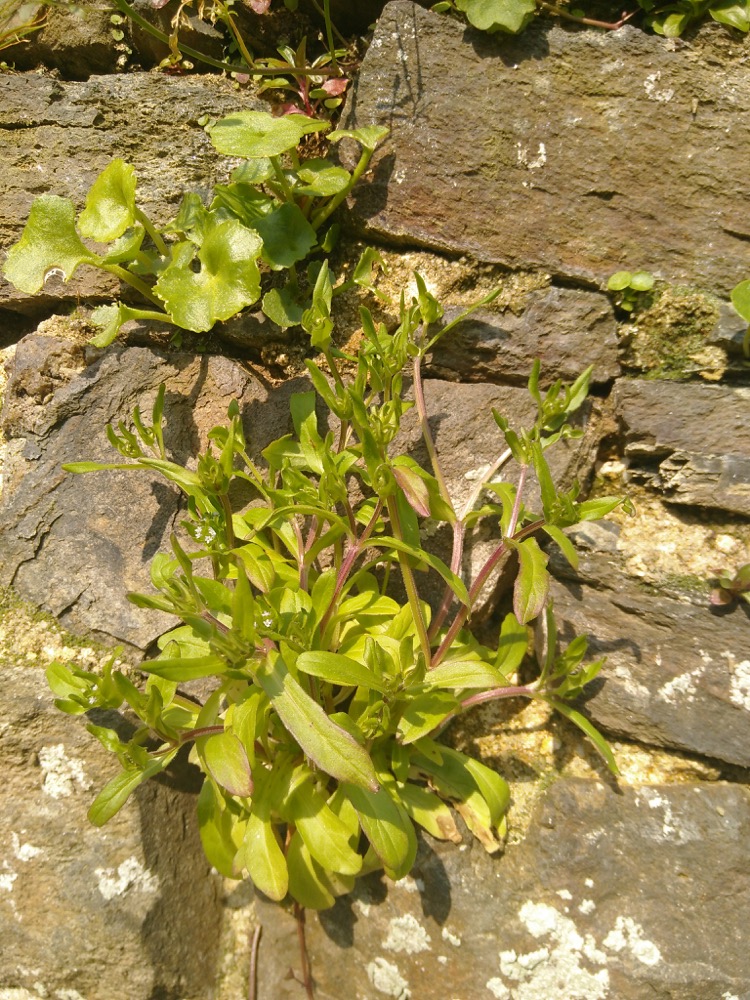 Annexe IMG_20200327_111417.jpg