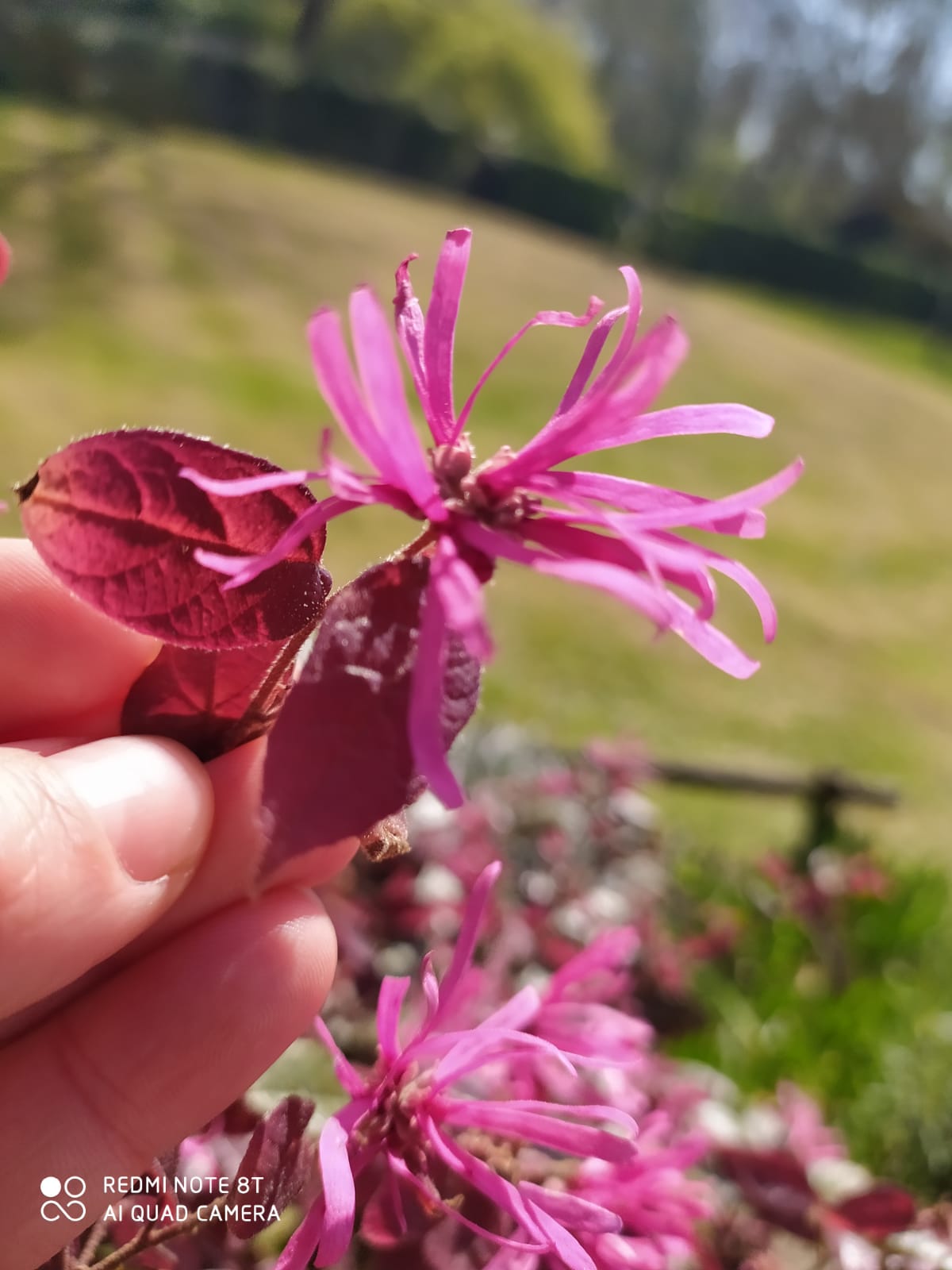 Annexe IMG-20200327-WA0004.jpg