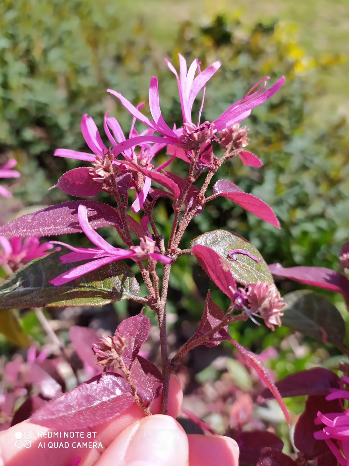 Annexe IMG-20200327-WA0006.jpg