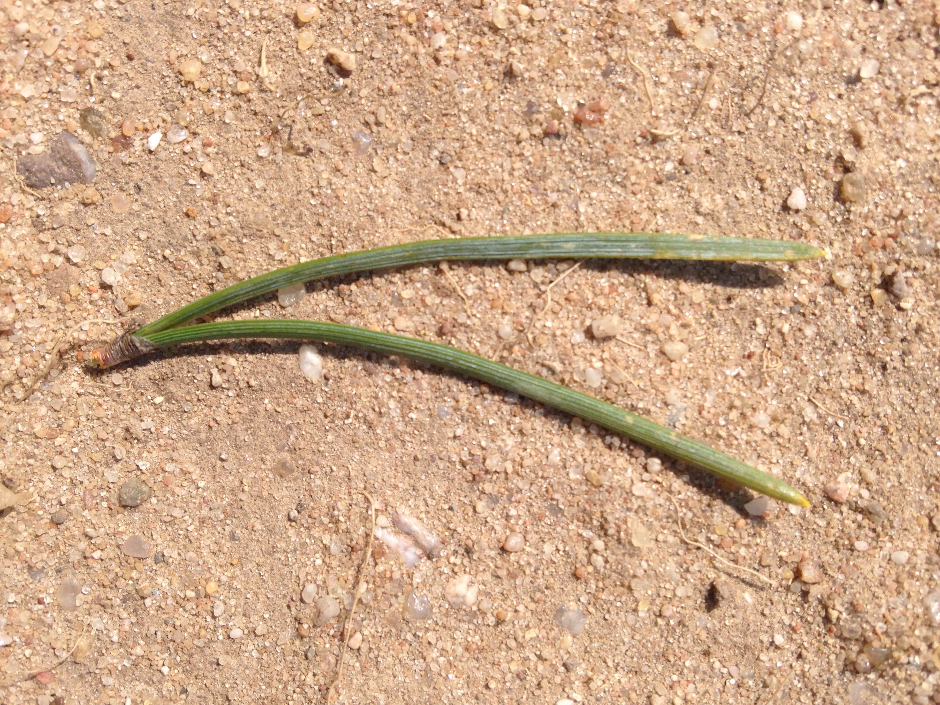 Annexe IMG_0704-min.JPG