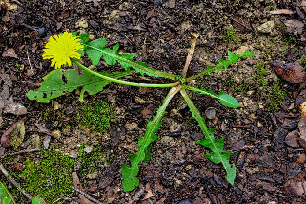 Annexe IMG_6919 (2).jpg