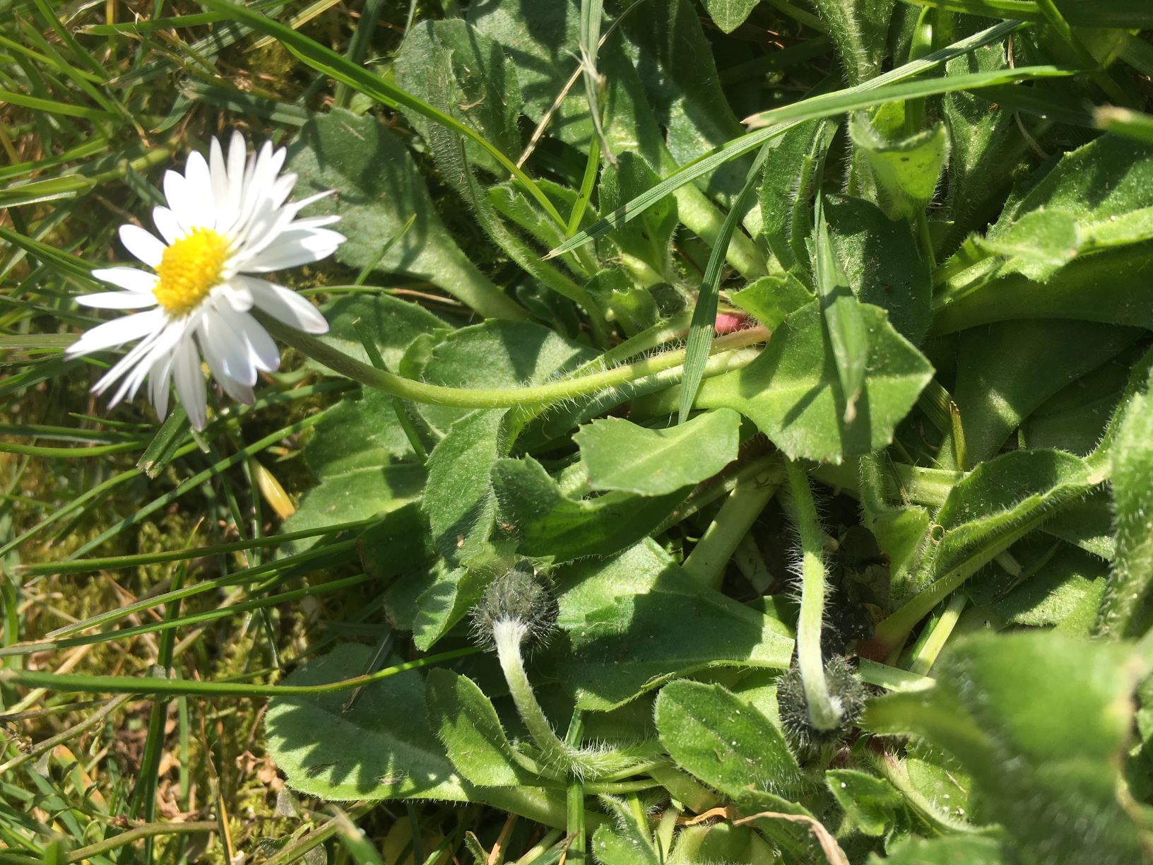 Annexe IMG-1865l.JPG