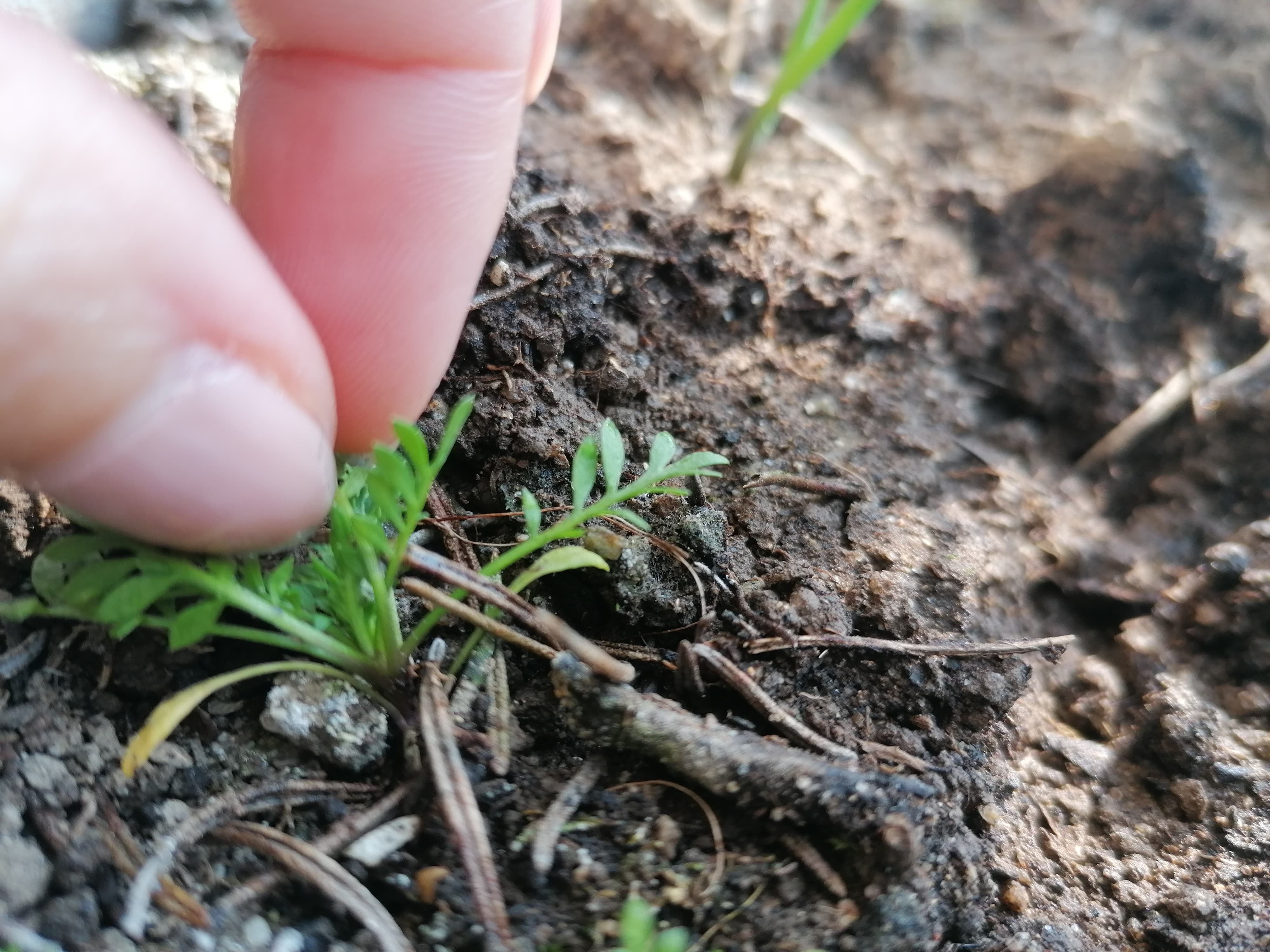 Annexe 90793309_1637569673048700_2700537232267149312_n.jpg