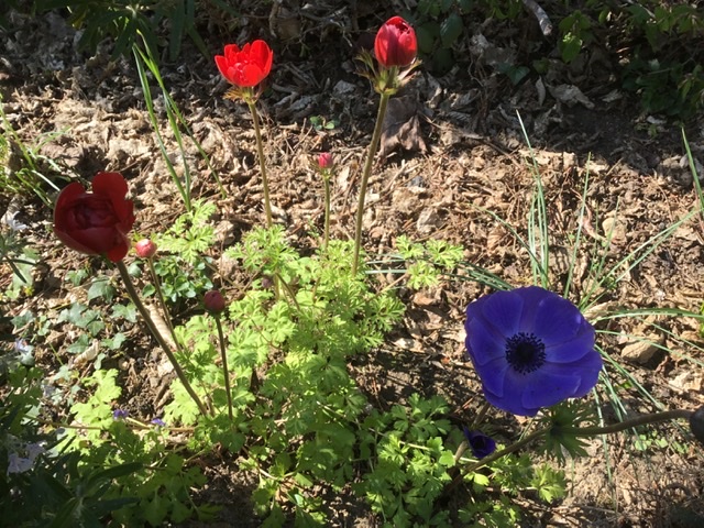 Annexe 0A618D57-E486-484E-94A3-ABC949A717E9.jpeg