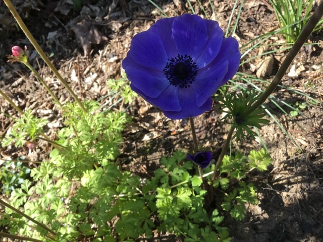 Annexe 43883229-E2B0-46C0-A71F-E35A9E25AA97.jpeg