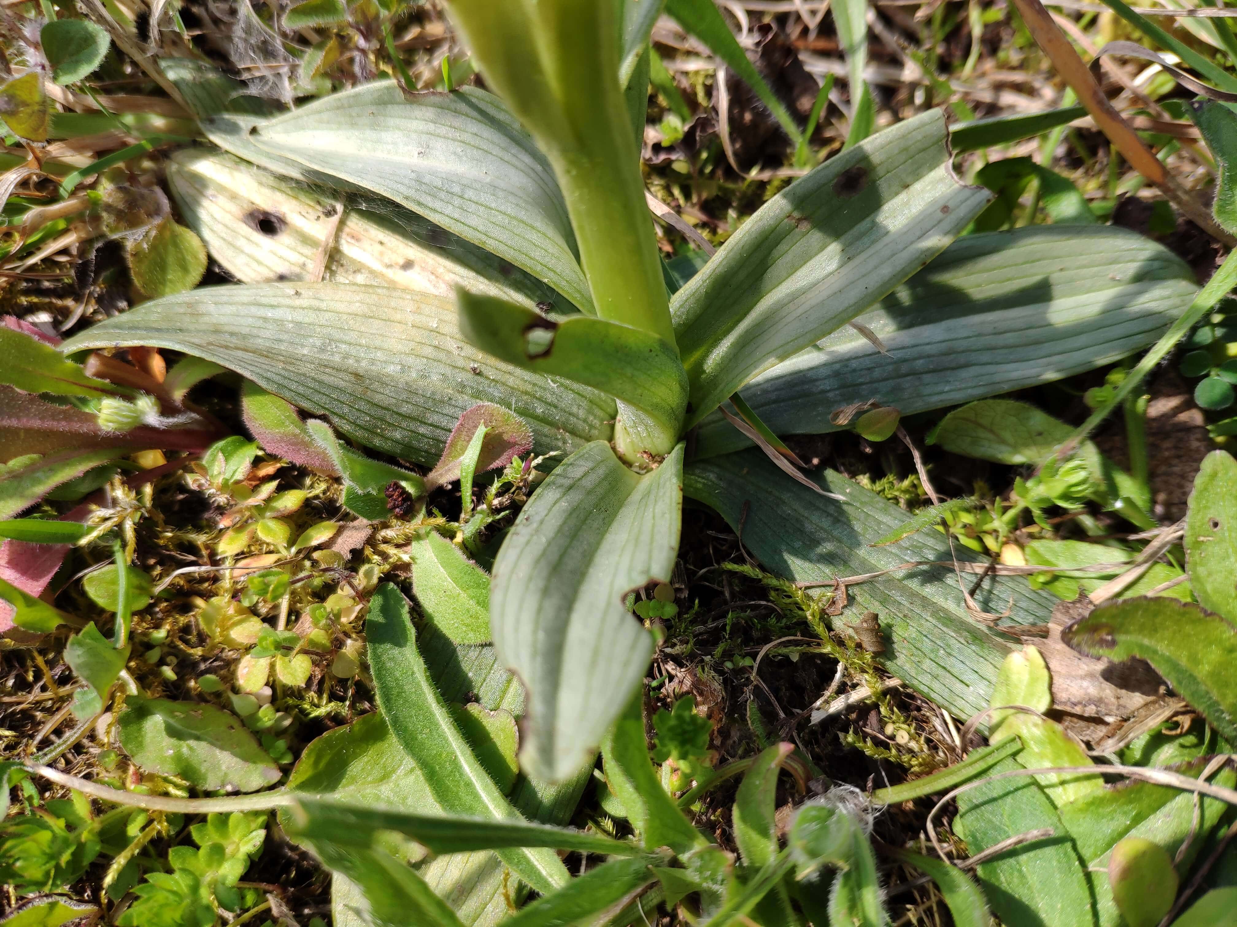 Annexe IMG_20200327_144319-min.jpg