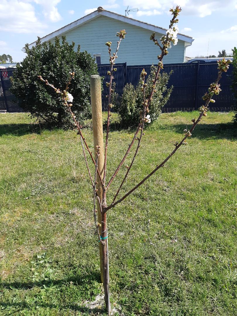 Annexe vue densemble.jpg