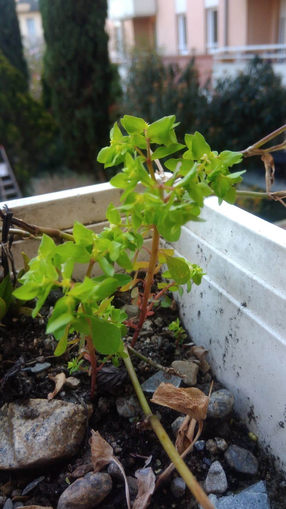 Annexe 90718799_233616361170815_8425071142766641152_n.jpg