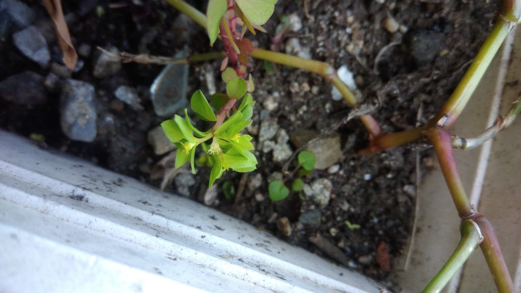 Annexe 90885188_168818774147290_2330192523139481600_n.jpg