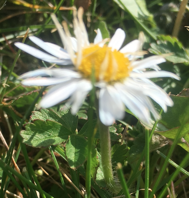 Annexe Capture d’écran 2020-03-27 à 15.20.57.png