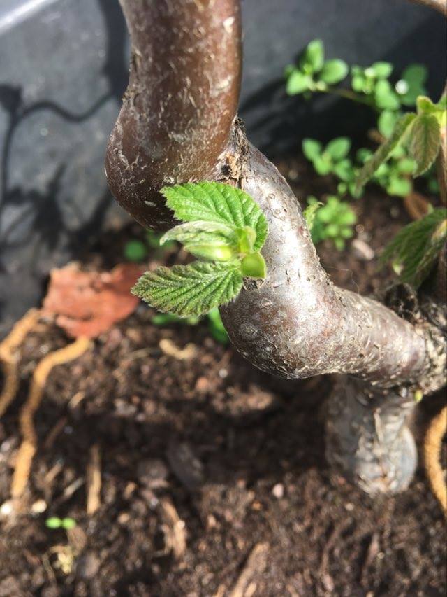 Annexe 91330430_496393334362023_6250749090242494464_n.jpg