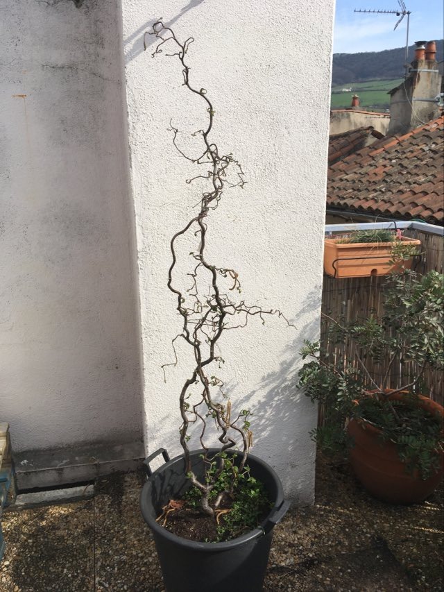 Annexe 91402576_514568575895052_8787064962297102336_n.jpg