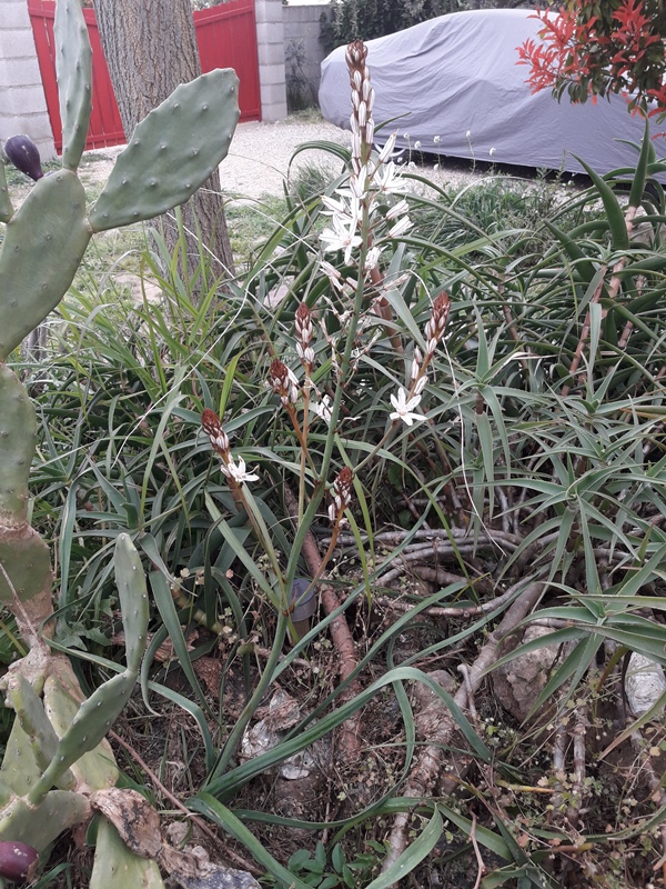 Annexe 20200327_161137.jpg