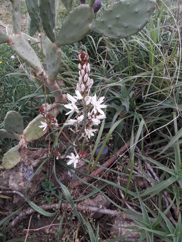 Annexe 20200327_161153.jpg