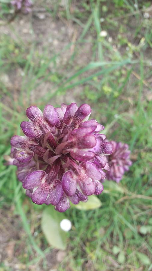 Annexe 1585320997726.JPEG