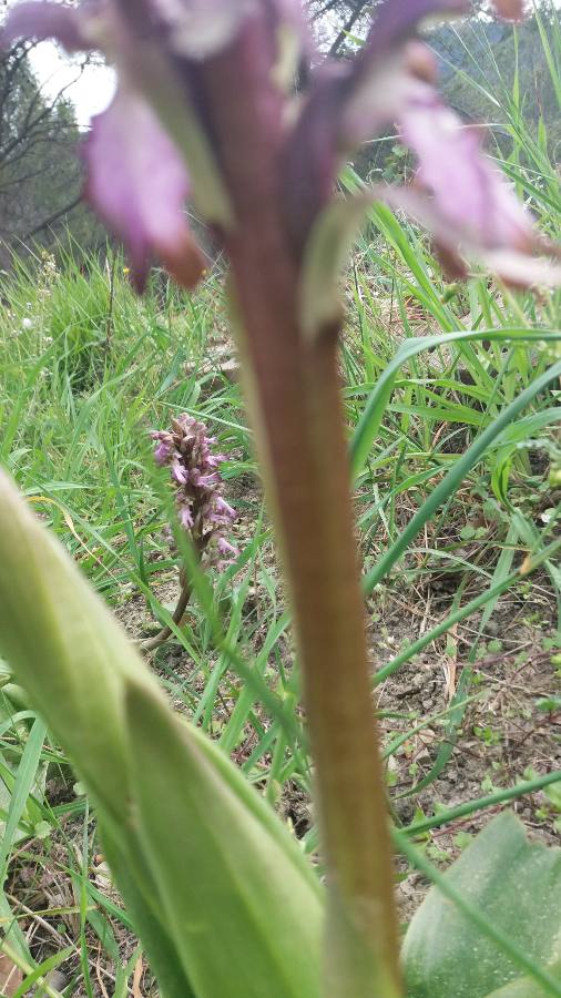 Annexe 1585321284722.JPEG