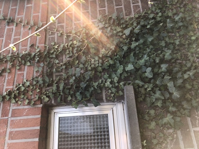 Annexe 49B30060-54BF-405C-B952-A8475AE095C4.jpeg